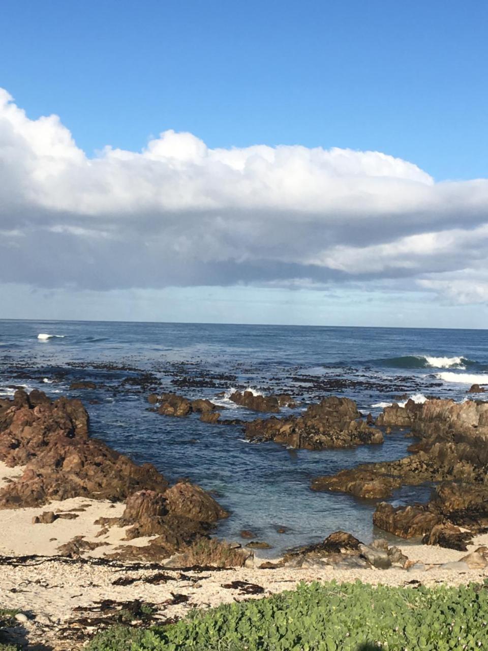 Royal Albatros Gansbaai Exterior foto