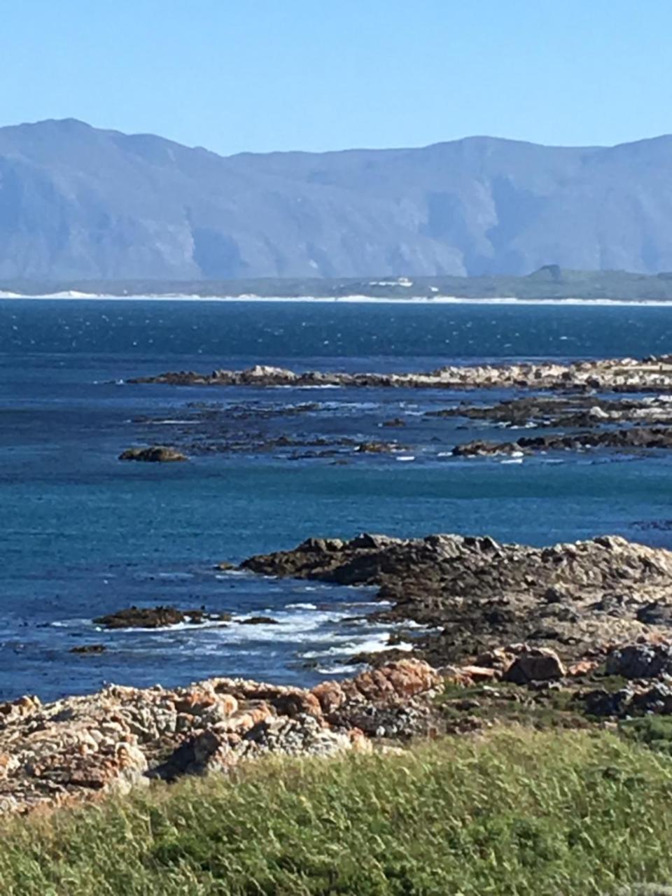 Royal Albatros Gansbaai Exterior foto