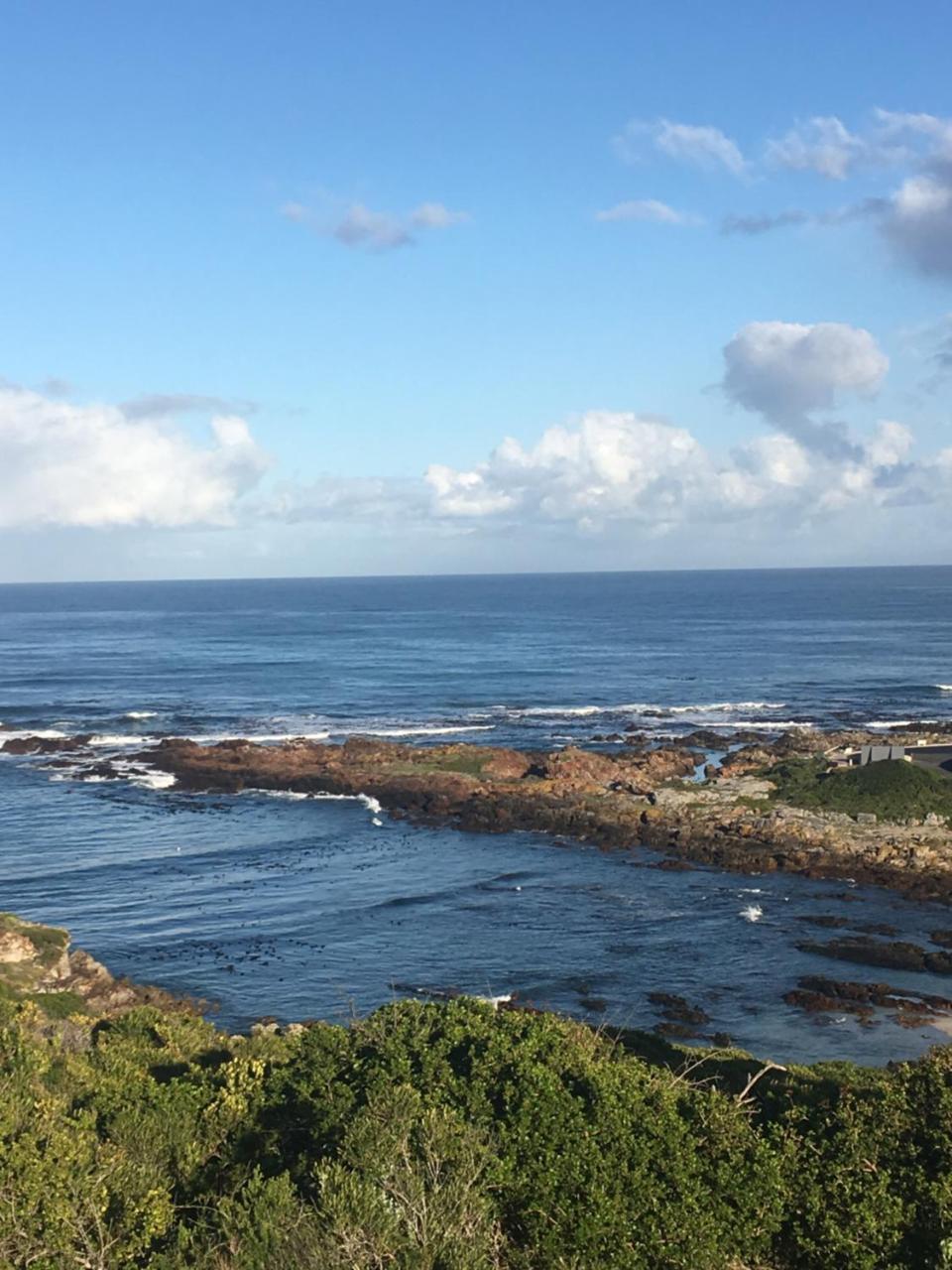 Royal Albatros Gansbaai Exterior foto